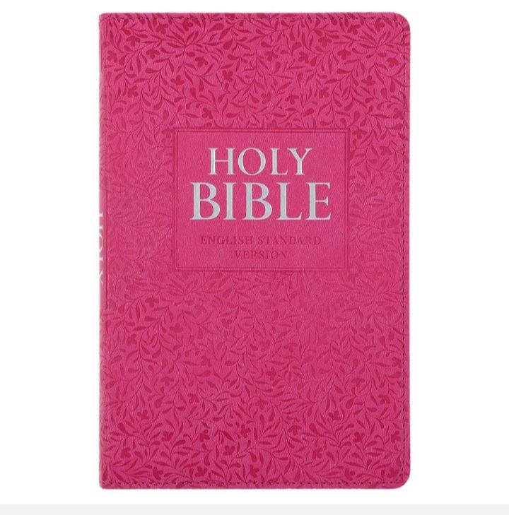 ESV Compact Bible With Zip, Pink